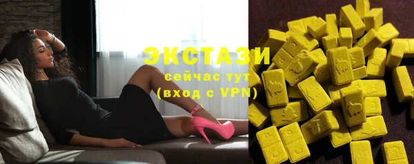 индика Елизово