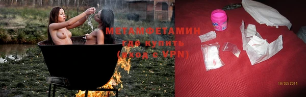 индика Елизово