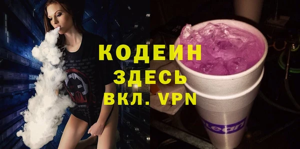 индика Елизово