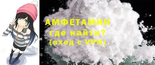 индика Елизово