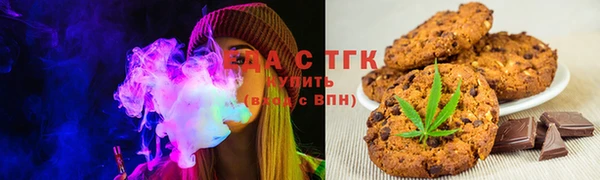 индика Елизово