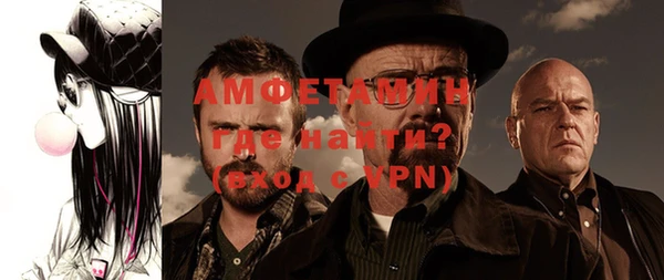 дурь Ельня