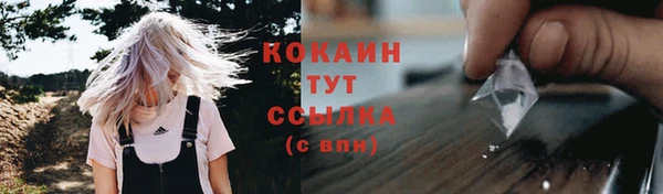 дурь Ельня