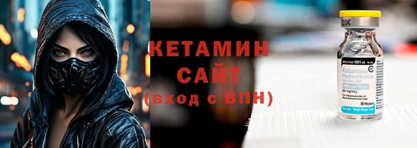индика Елизово