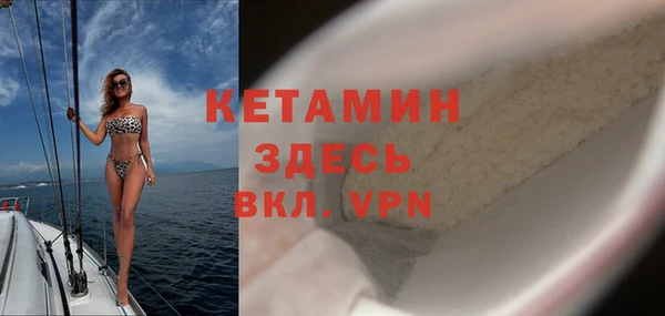 индика Елизово