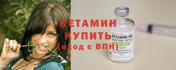 дурь Ельня