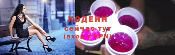 spice Елабуга