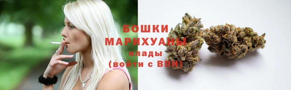 дурь Ельня