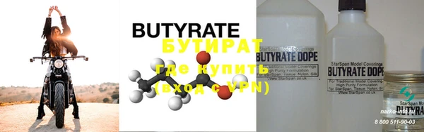 индика Елизово