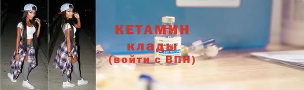 индика Елизово