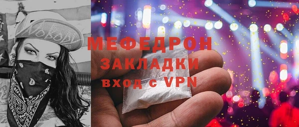 индика Елизово