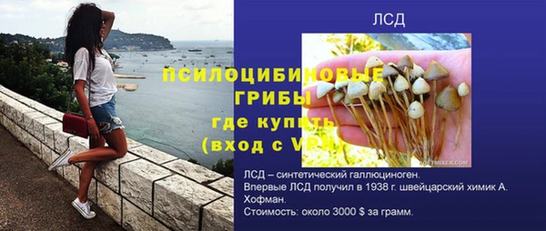 дурь Ельня
