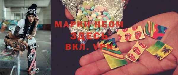 индика Елизово