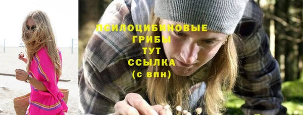 дурь Ельня